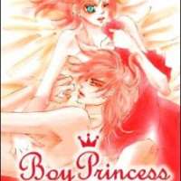   Boy Princess <small>Story & Art</small> 